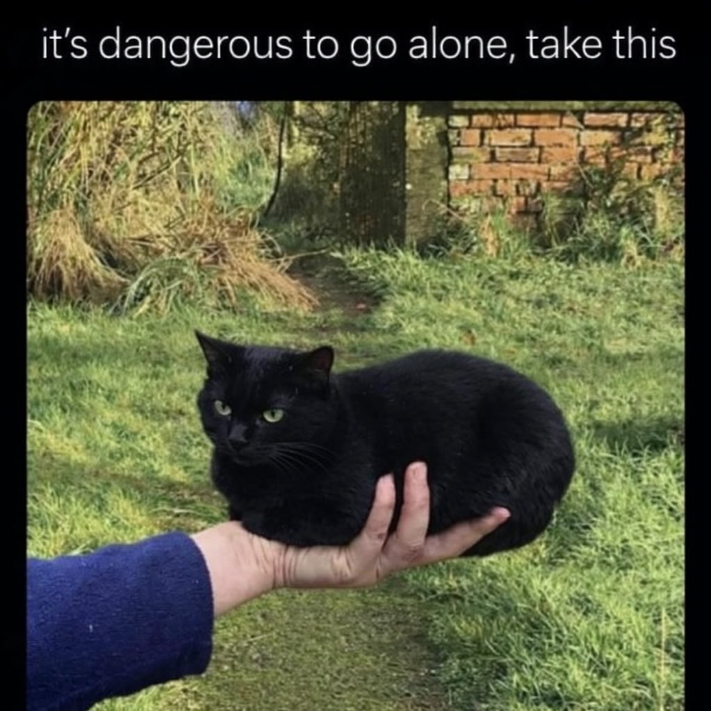 it's dangerous to go alone, take this